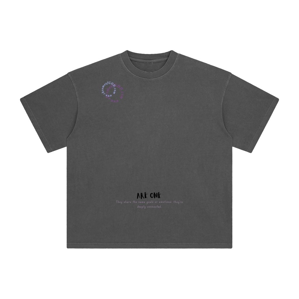 Allies Washed T-Shirt