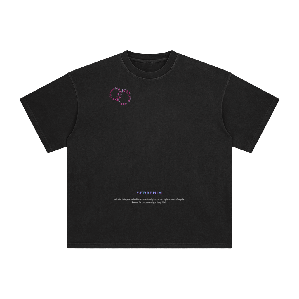 Biblical Washed T-Shirt