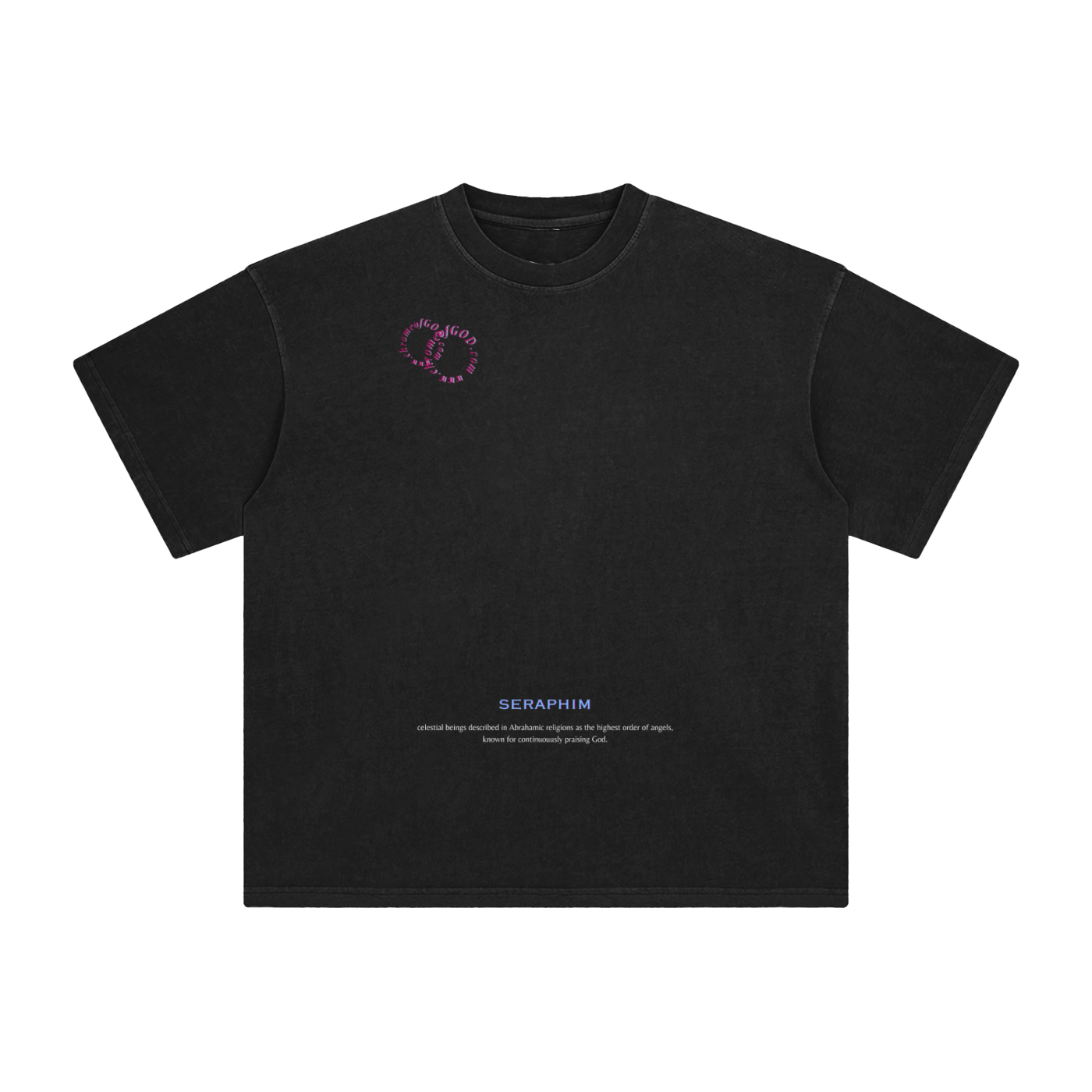 Biblical Washed T-Shirt